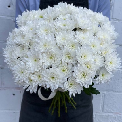 Белая кустовая хризантема - купить с доставкой в Рязани