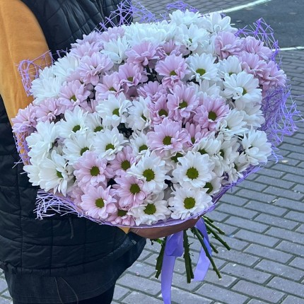 букет из розовой кустовой хризантемы - купить с доставкой в Рязани