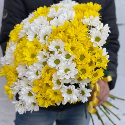 Букет из разноцветных хризантем - купить с доставкой в Рязани
